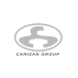 گروه صنعتی کاریزان