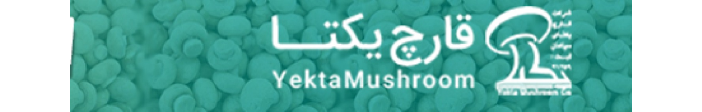 استخدام قارچ یکتای سپاهان