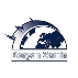 شرکت بنیان زمین