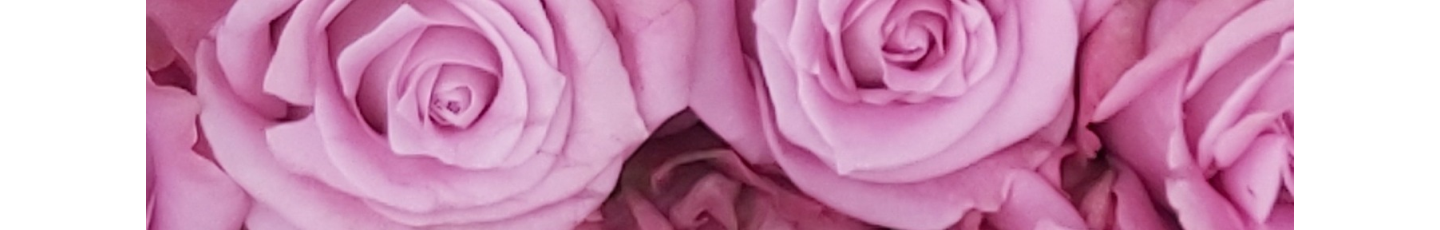 استخدام سینا رز