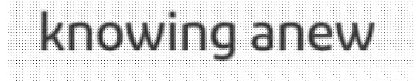 شرکت سرزمین بازی دانی نو