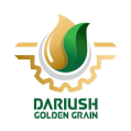 استخدام دانه طلایی داریوش