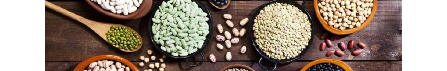 استخدام شرکت برنا تجارت آذرمهر