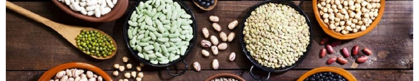 شرکت برنا تجارت آذرمهر