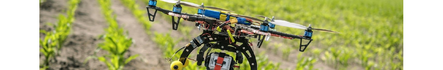 استخدام توسعه راهکارهای کسب و کار باران