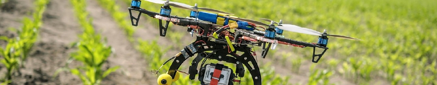 توسعه راهکارهای کسب و کار باران