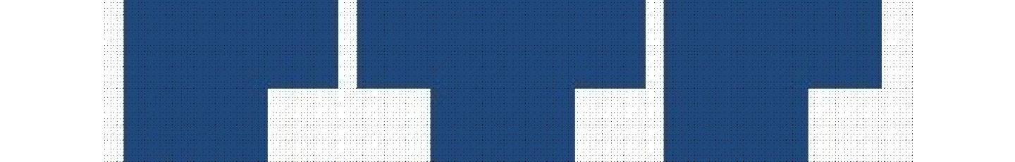 استخدام پویا تدبیر پاهنگ