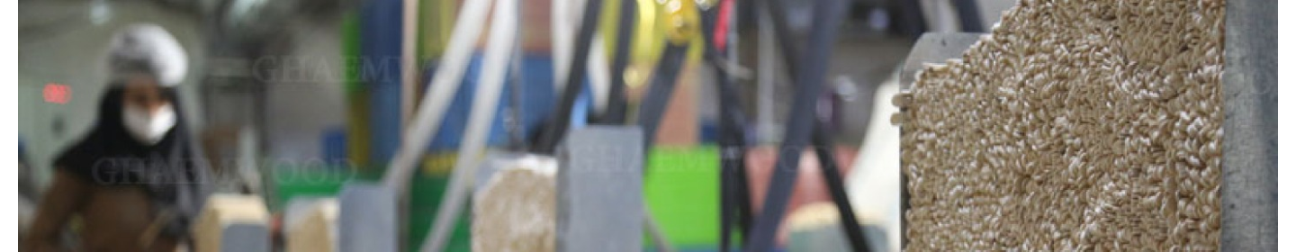 صنایع تولیدی چوب بستنی قائم