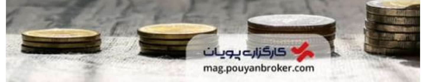 کارگزاری پویان