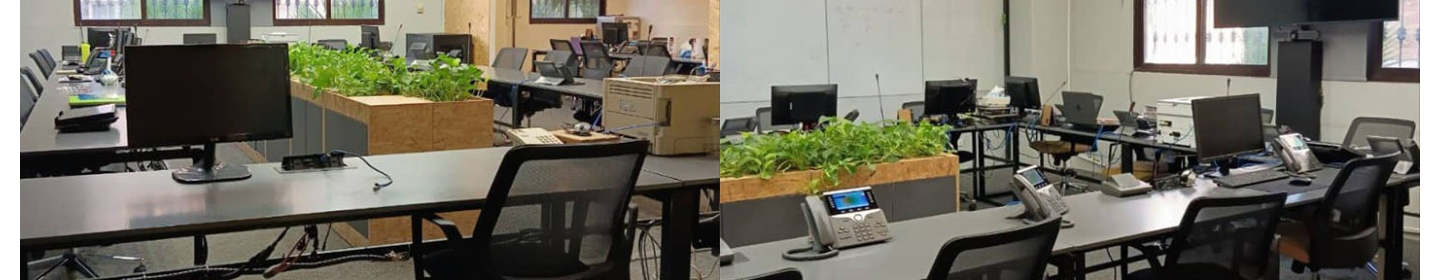 رهپویان توسعه تجارت ساتر