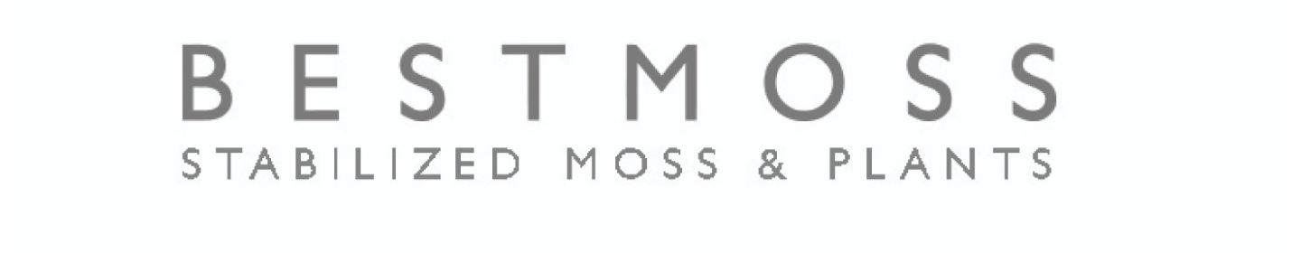 دیوار سبز خزه ای مانا