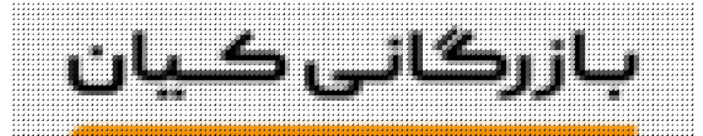 بازرگانی نواندیشان پایا کیان قشم