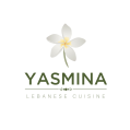 استخدام یاسمینا