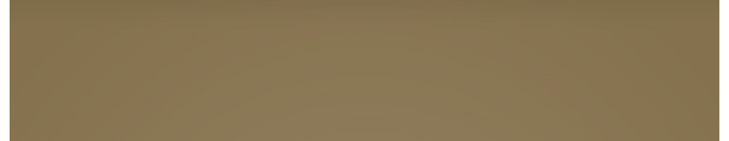 شرکت مدیران سود و حساب دریک