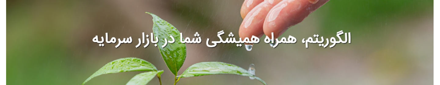 شرکت گروه مالی الگوریتم