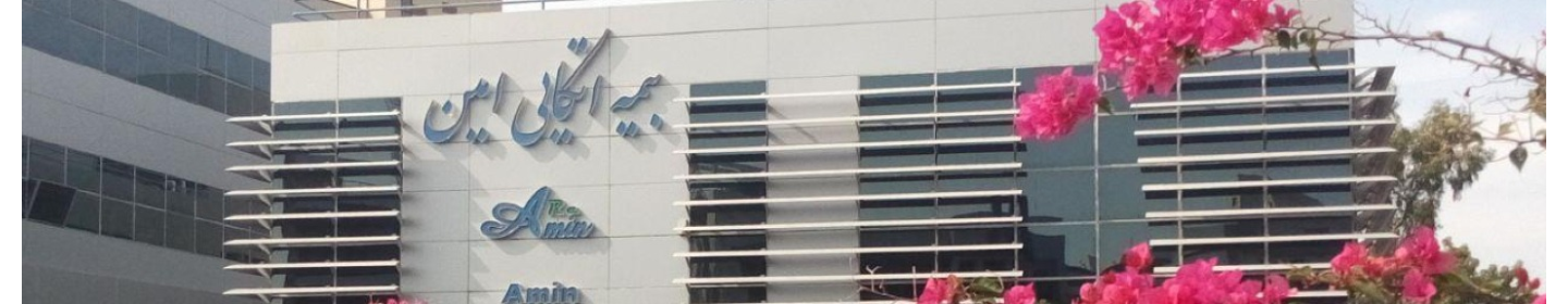 بیمه اتکایی امین