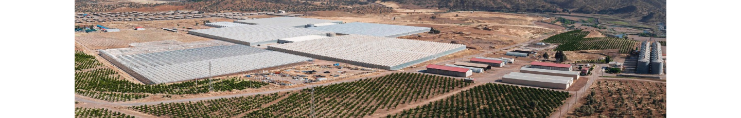 استخدام شرکت کشت و صنعت و گردشگری ماهور دشت یافته