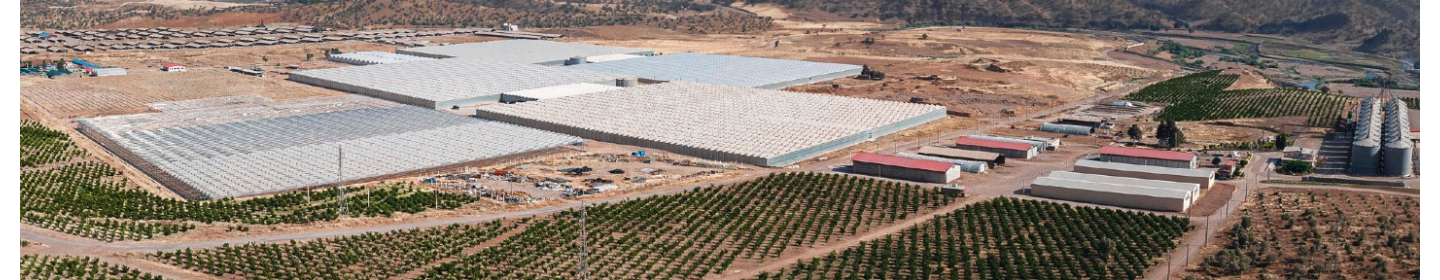 شرکت کشت و صنعت و گردشگری ماهور دشت یافته