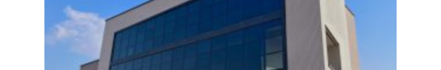 استخدام سیلیکون موتور ایرانیان