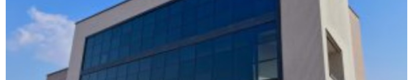 سیلیکون موتور ایرانیان