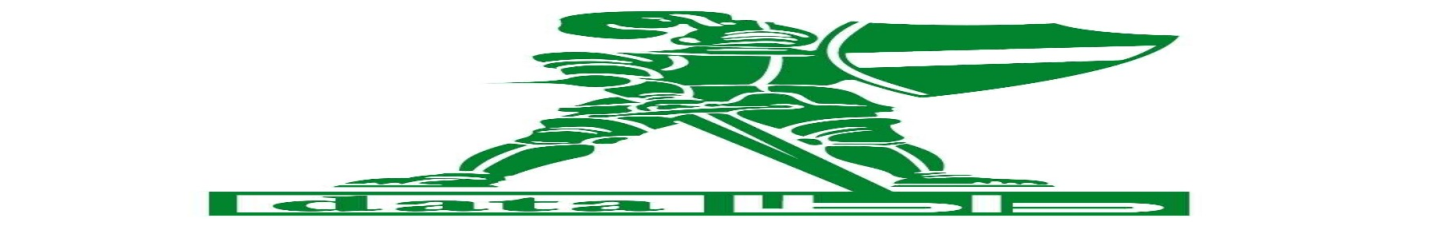 استخدام داطا