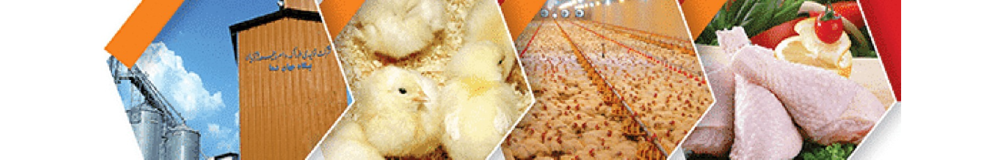 استخدام گروه جهان نما | زنجیره تولید و توزیع گوشت مرغ