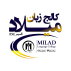 کالج زبان میلاد