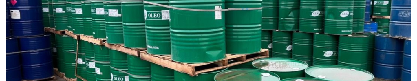 رومینا دارو فردا بین الملل