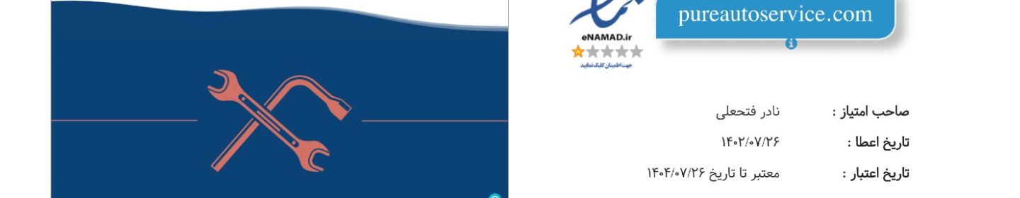 پیور اتو سرویس