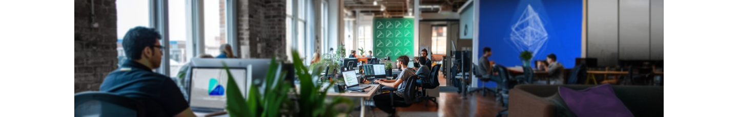 استخدام پول نو