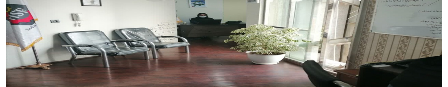 شرکت هوداک سیستم فرتاک