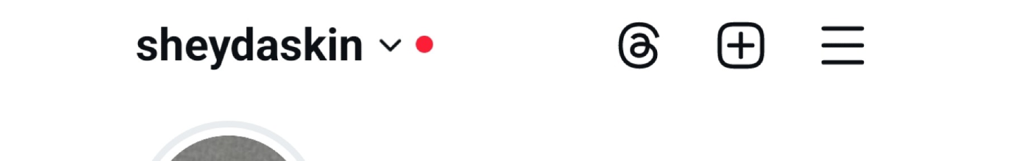 استخدام شیدا اسکین