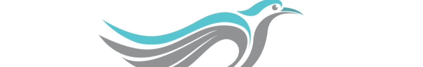 استخدام سورچی پرواز پارس