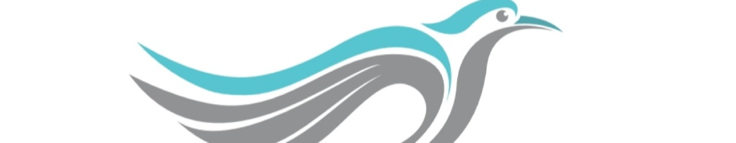 سورچی پرواز پارس