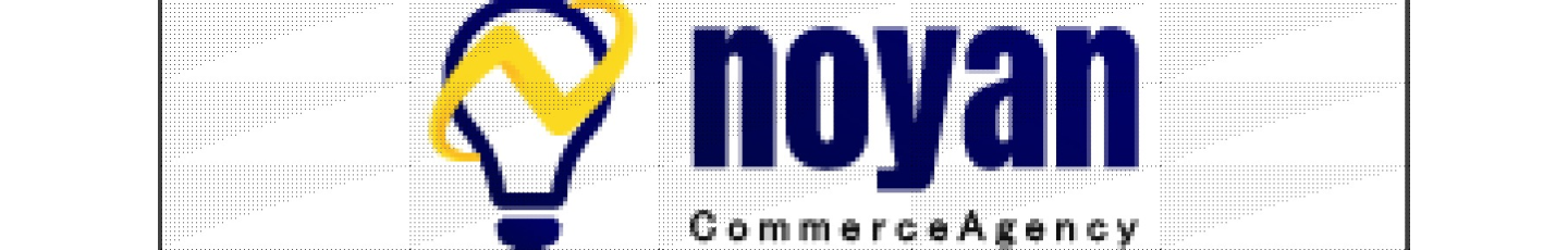 استخدام شرکت توسعه صنعت ره آورد نویان