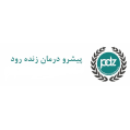 استخدام شرکت پیشرو درمان زنده رود