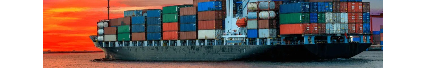 استخدام لیان ویسمن