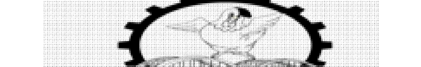 استخدام کار خانه آمل به دانه طبرستان