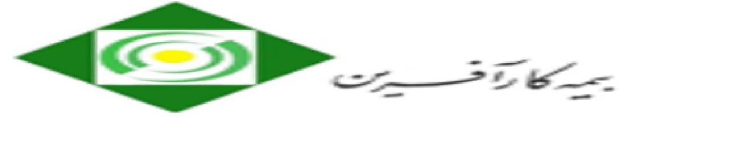 بیمه کارآفرین نمایندگی 2206 ( معین درویشان پور )