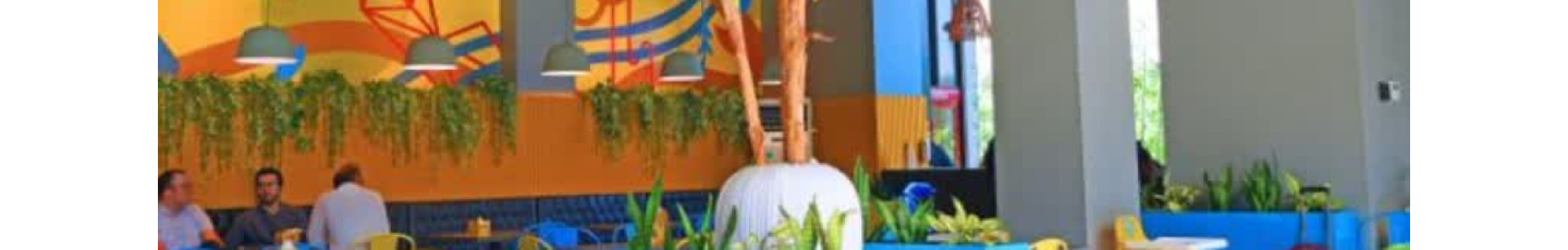 استخدام سوخاری راسپر (طلوع هستی پادینا)