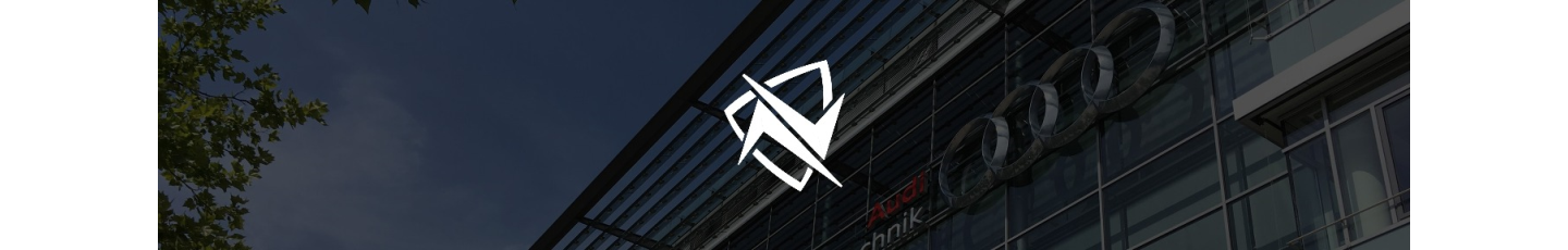 استخدام نادین خودرو