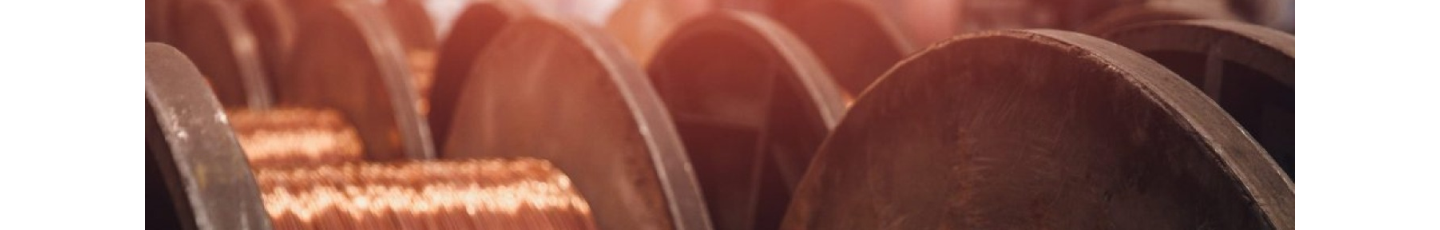 استخدام مس آلان