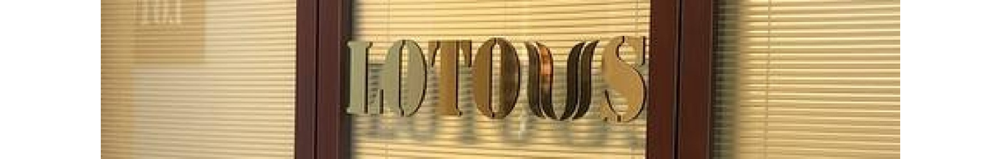 استخدام تجارت حافظه لوتوس