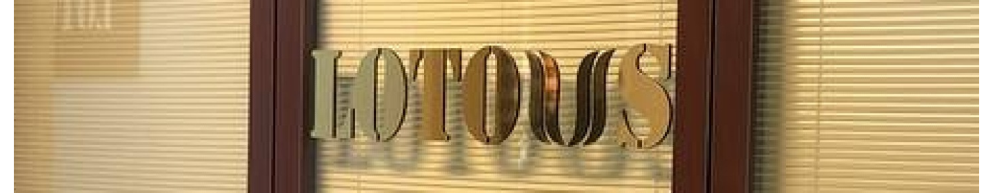 تجارت حافظه لوتوس