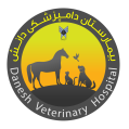 استخدام بیمارستان دامپزشکی دانش