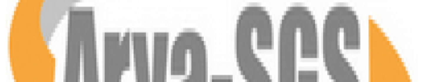 آریا اس جی اس