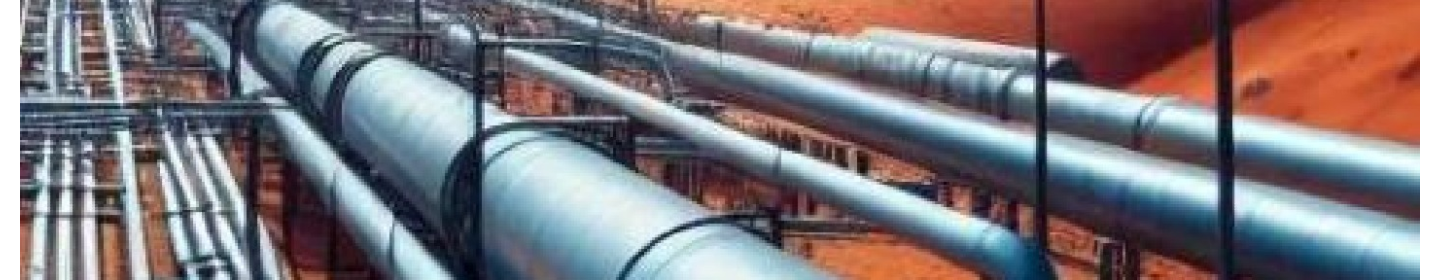 شرکت آریانیرو (غیرفعال*)