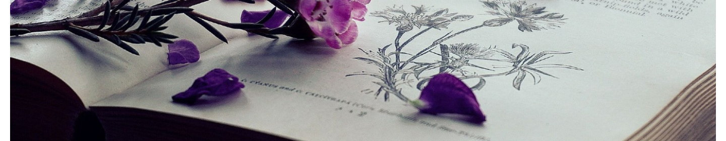 نشر سولان (غیرفعال*)