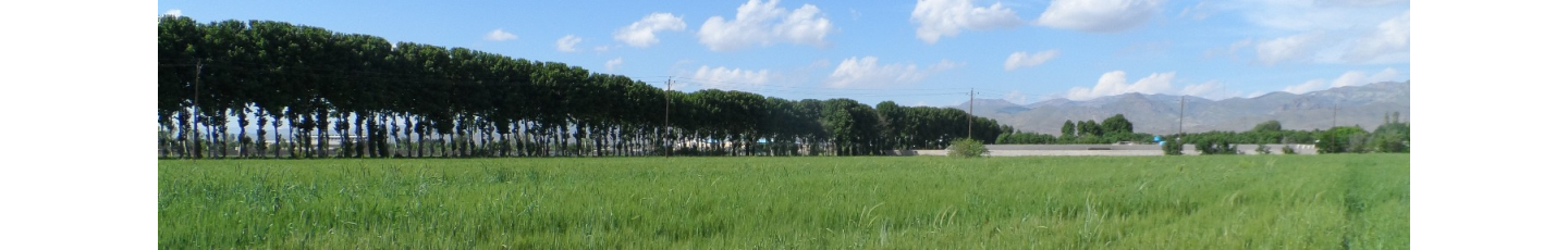 استخدام شرکت سیمرغ واحد زیاران