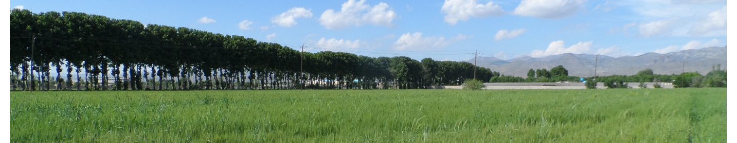 شرکت سیمرغ واحد زیاران